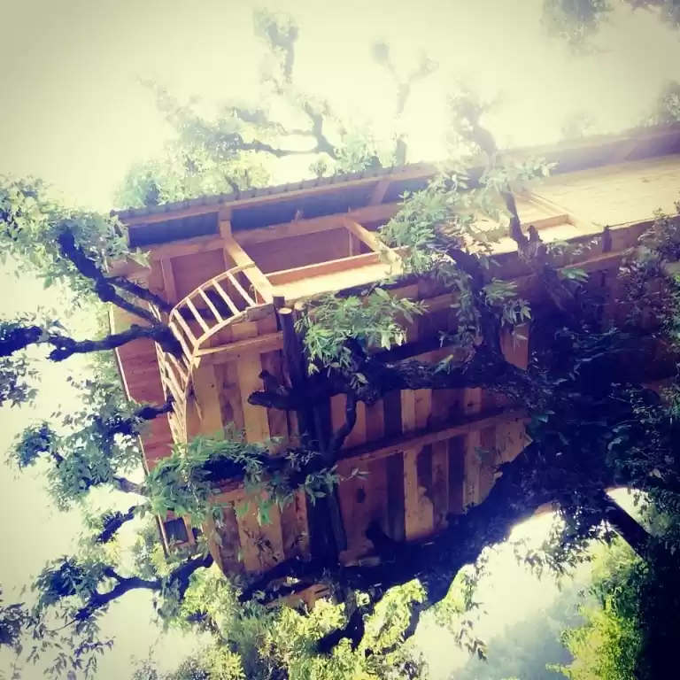 Photo of 7 Unique Travel Expe