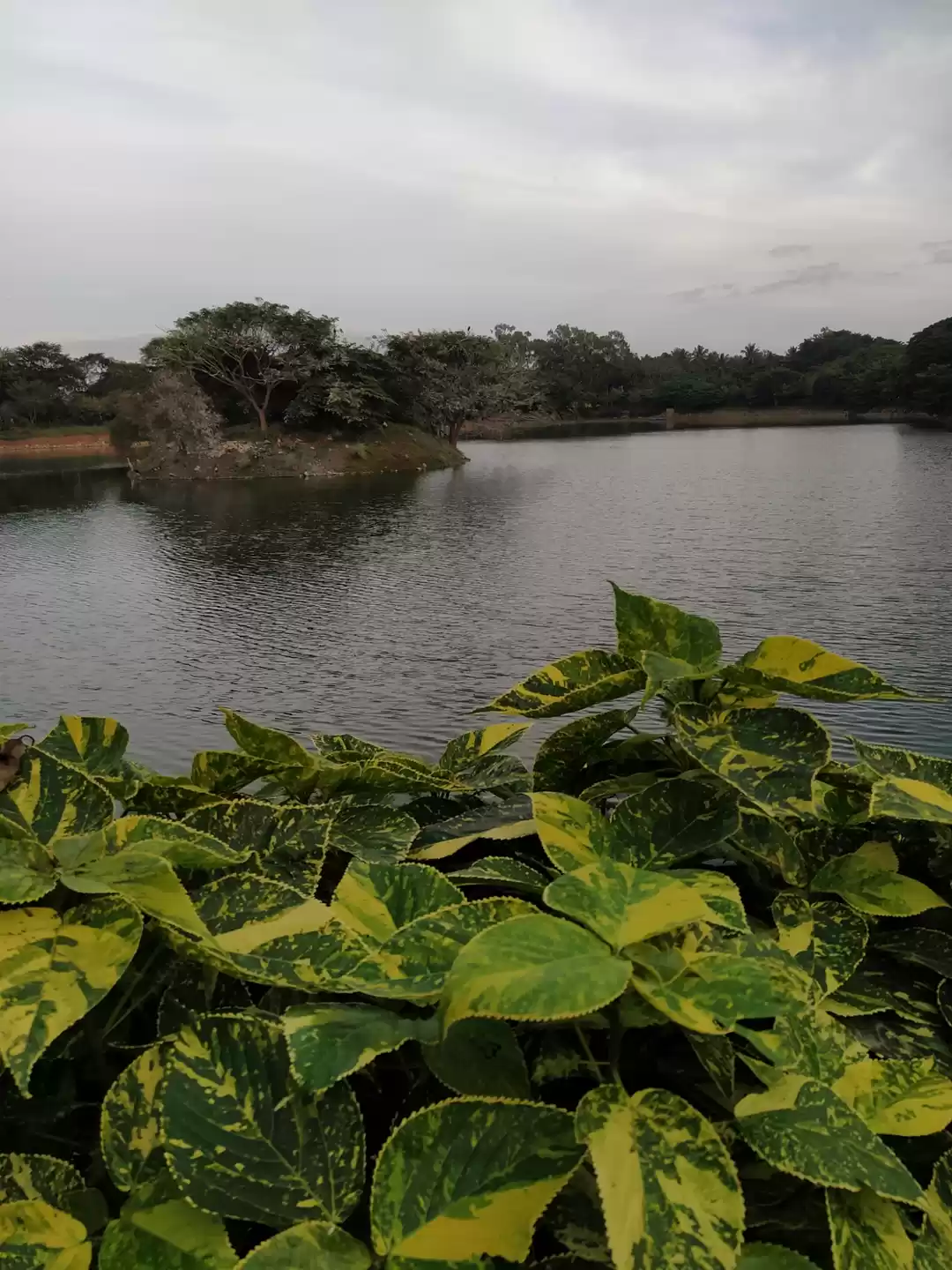Photo of Park - Nature - Morn