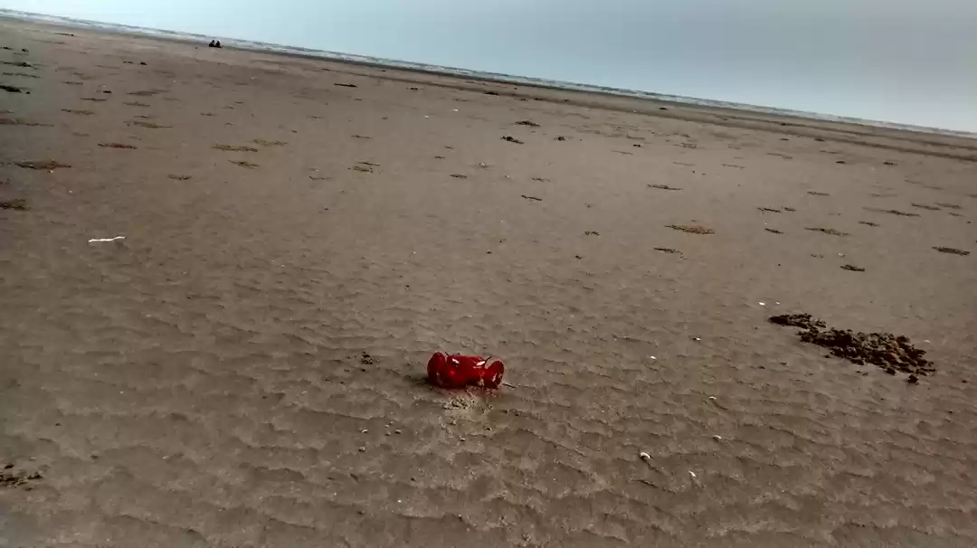 Photo of Tajpur Beach Destina