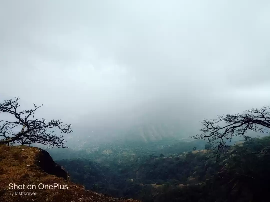 Photo of Driving away lockdow