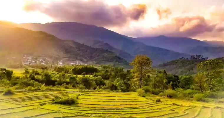 Photo of Learning The Art Of 