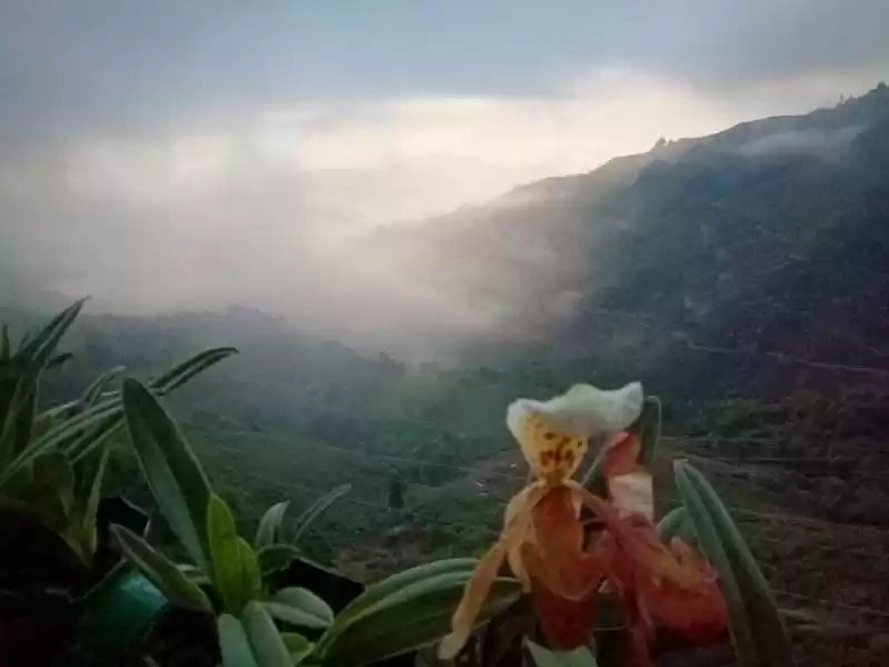 Photo of The mysterious Kurse