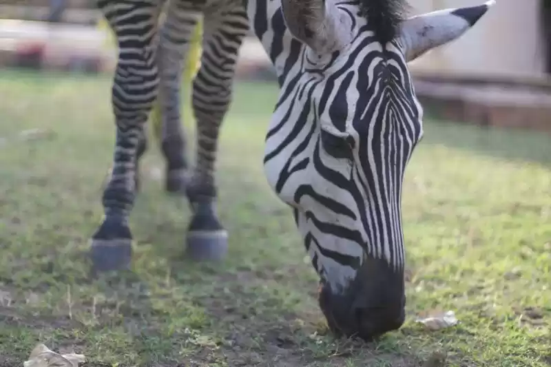 Photo of 6 days / 5 nights No