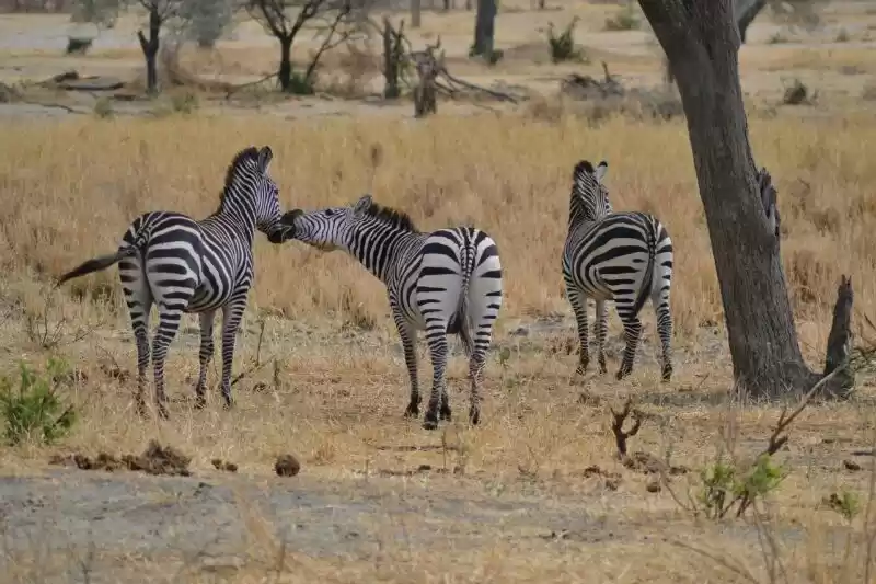 Photo of 3days / 2 nights tri