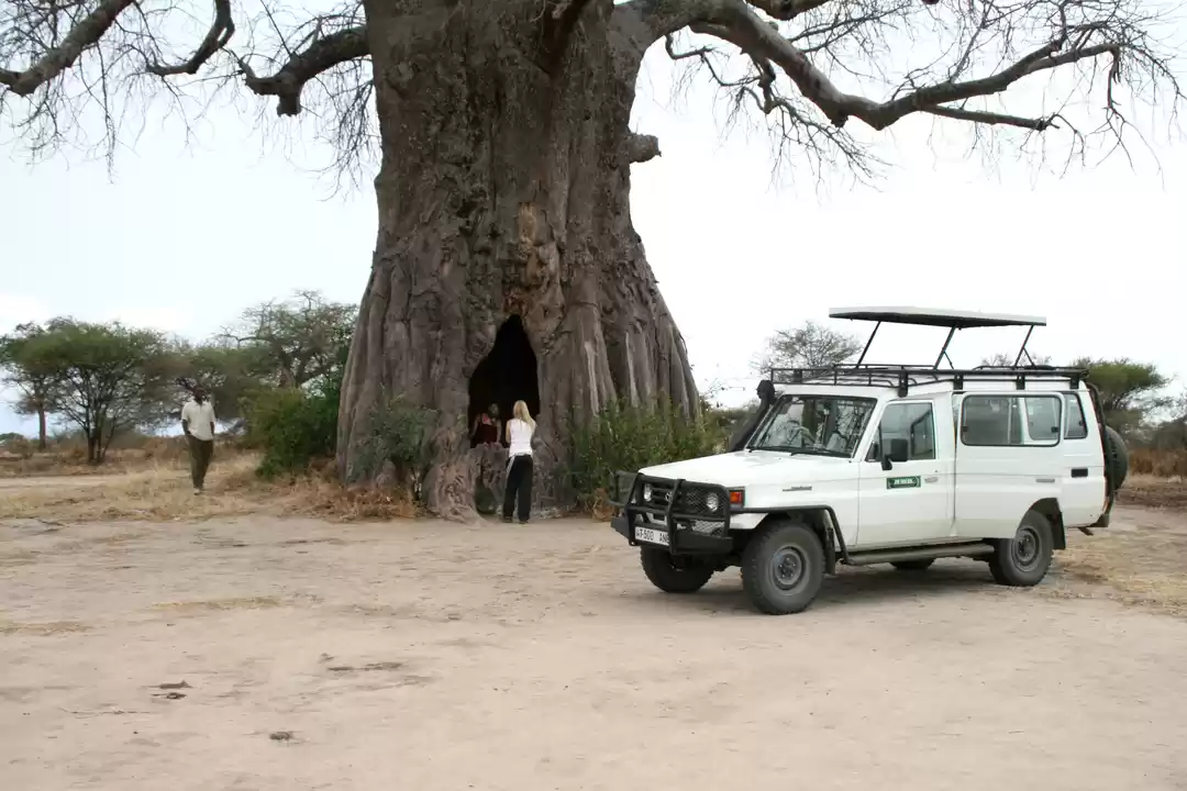 Photo of 5days / 4nights amaz