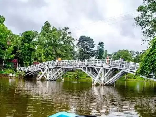 Photo of How to Plan an Aweso