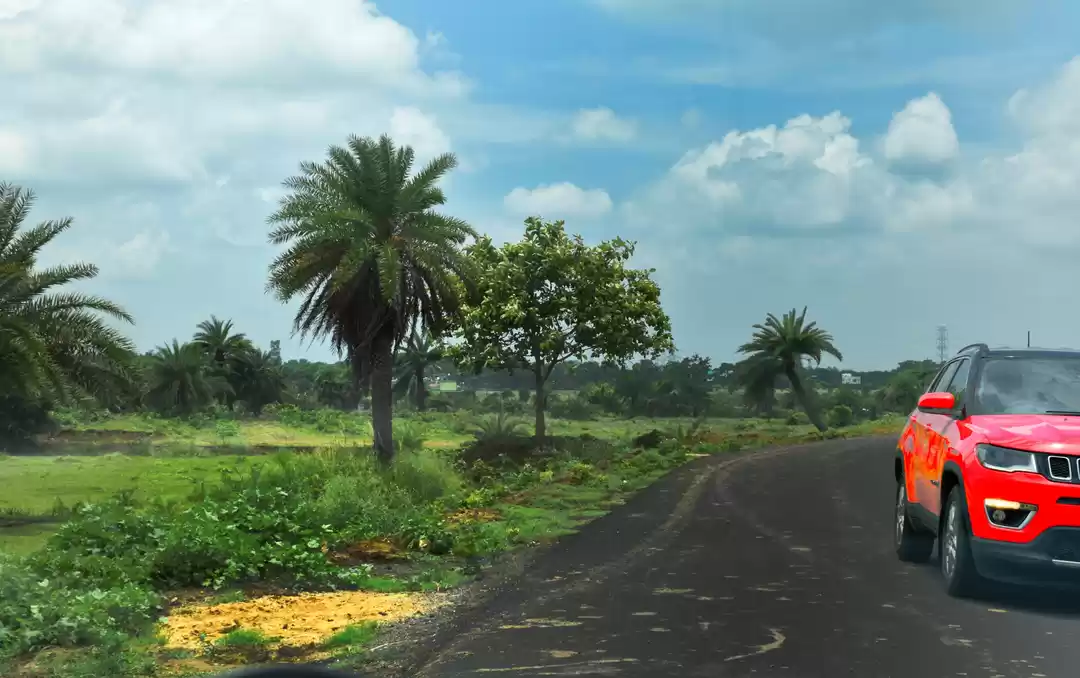 Photo of The grasslands of As