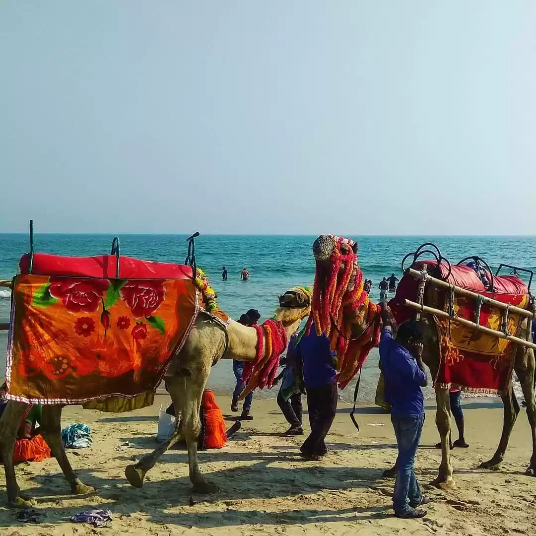 Photo of Bhubaneshwar - What