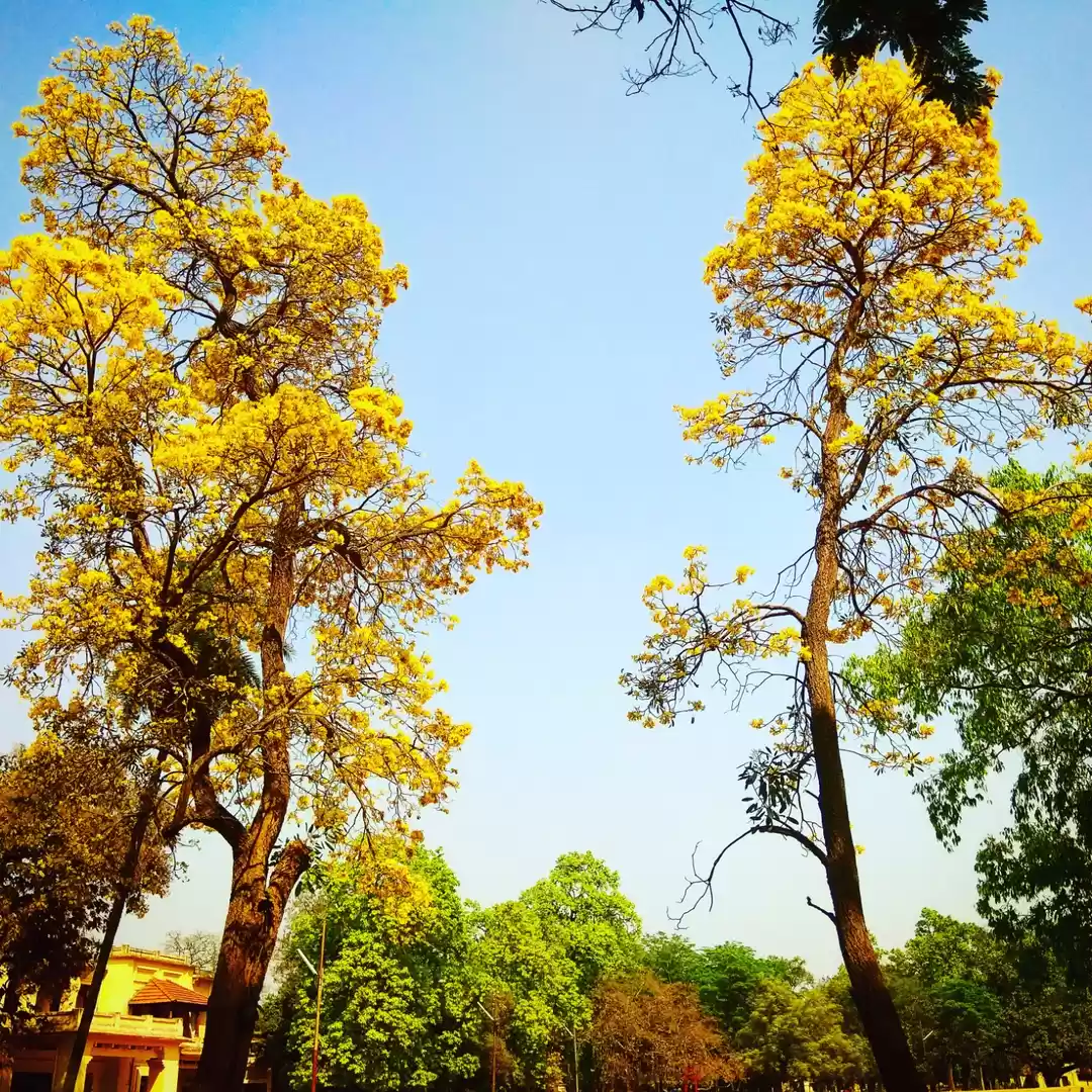 Photo of It's peaceful at "Sh