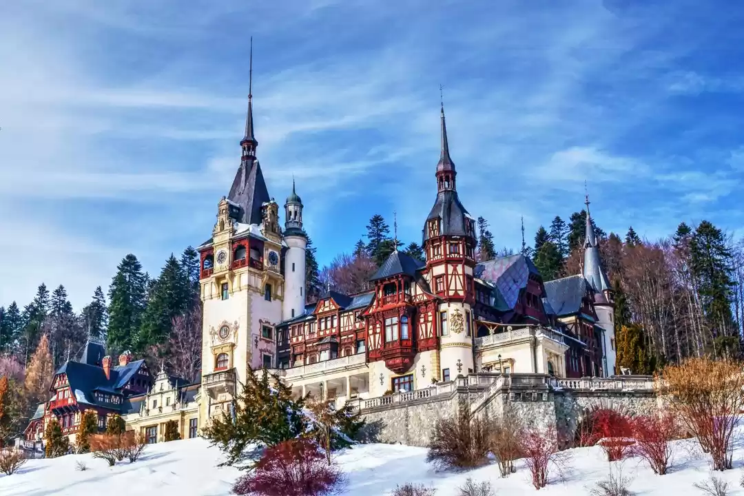 Photo of These Reel Life Loca