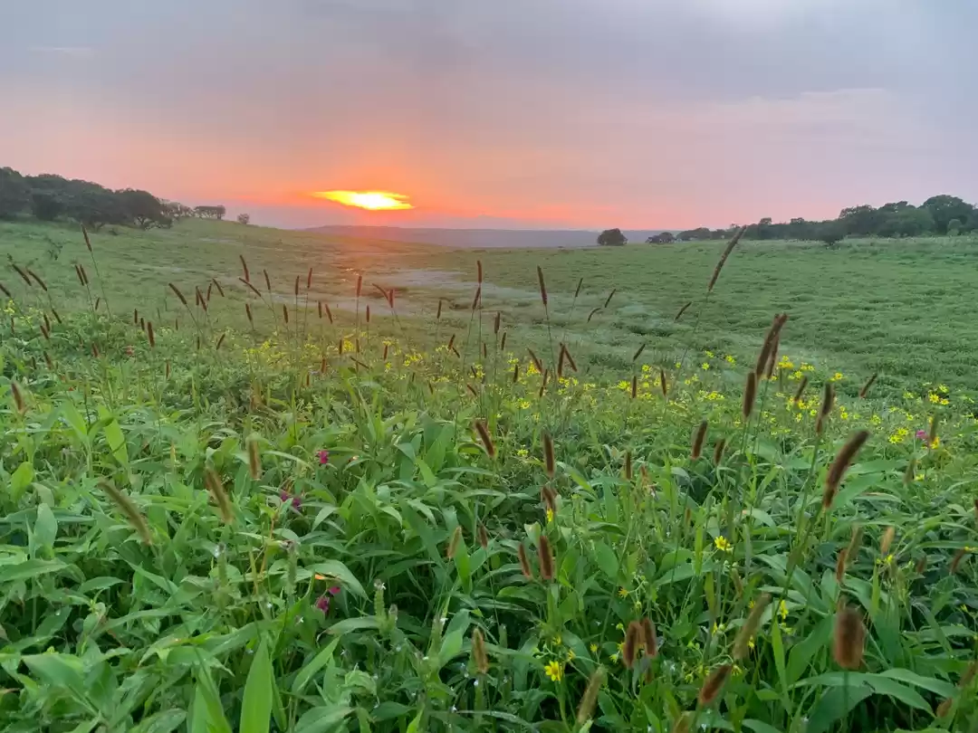 Photo of Did You Know About M