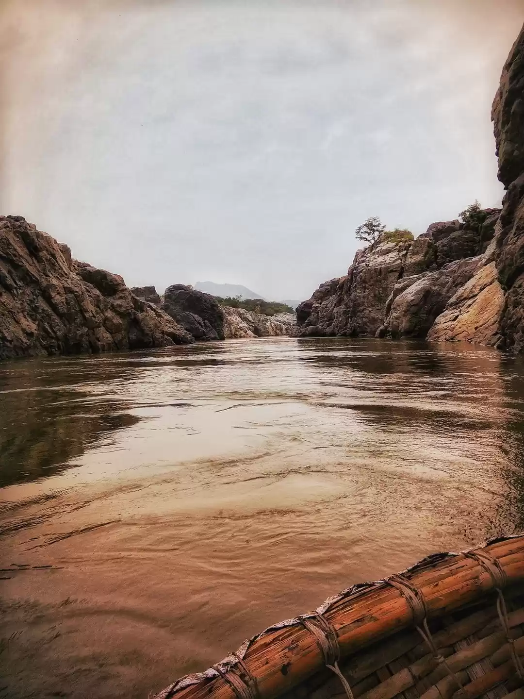 Photo of Hogenakkal Falls