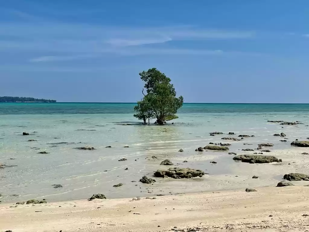 Photo of Calm amidst the Chao