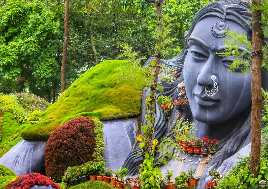 Photo of Chikmagalur in 48 ho