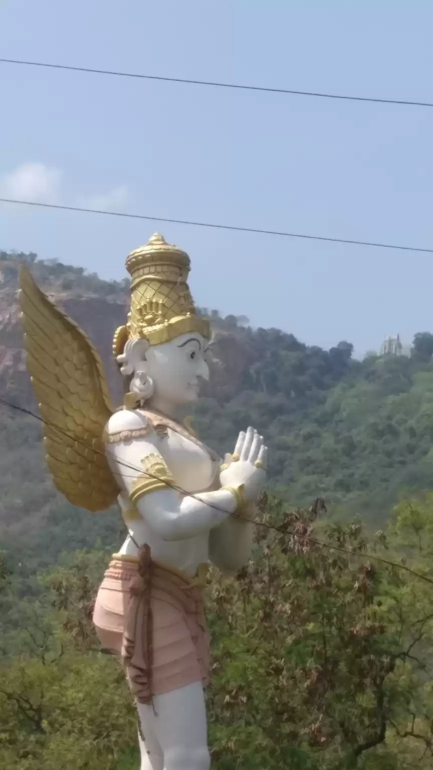 Photo of Fatigue and Divine T