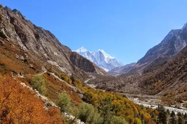 Photo of Himalayan Diaries! G