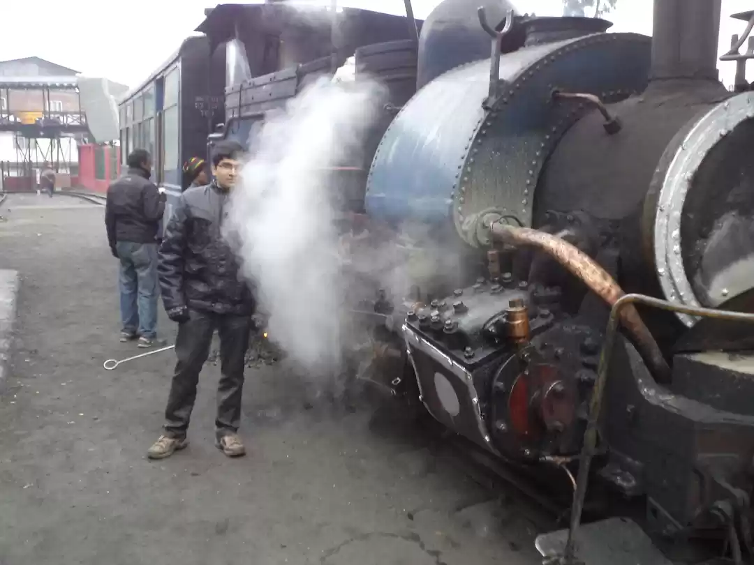 Photo of Darjeeling|Natural a