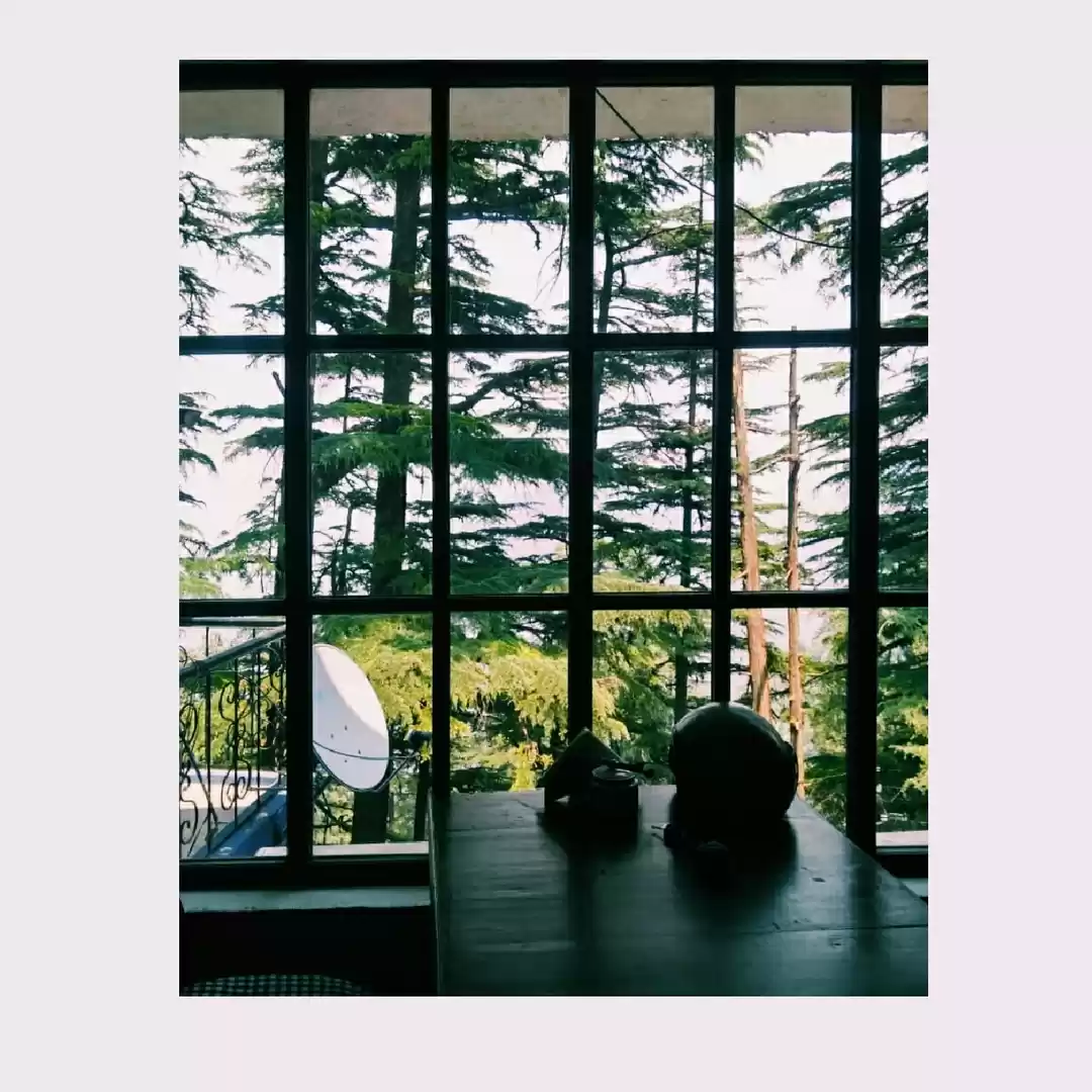 Photo of The Road not Taken: 