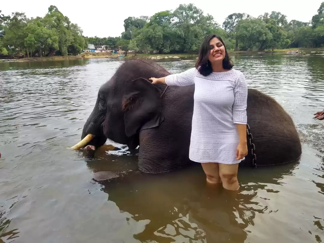 Photo of Hopping with elephan