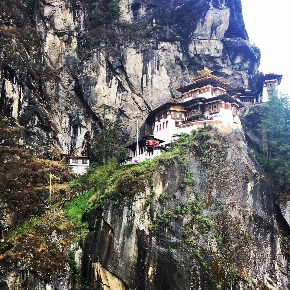 Photo of The Kingdom of Happi
