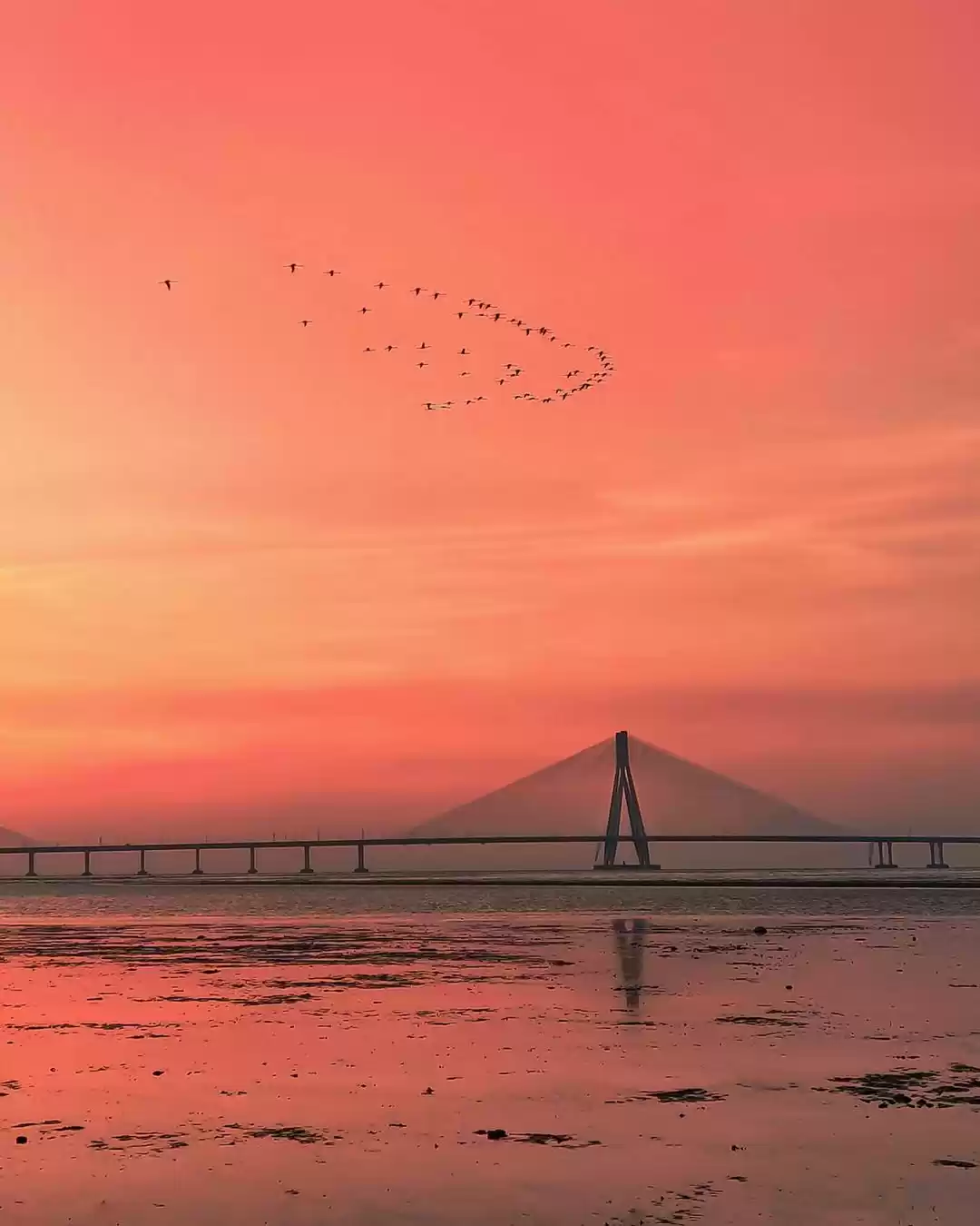 Photo of 10 Mesmerizing Sunse