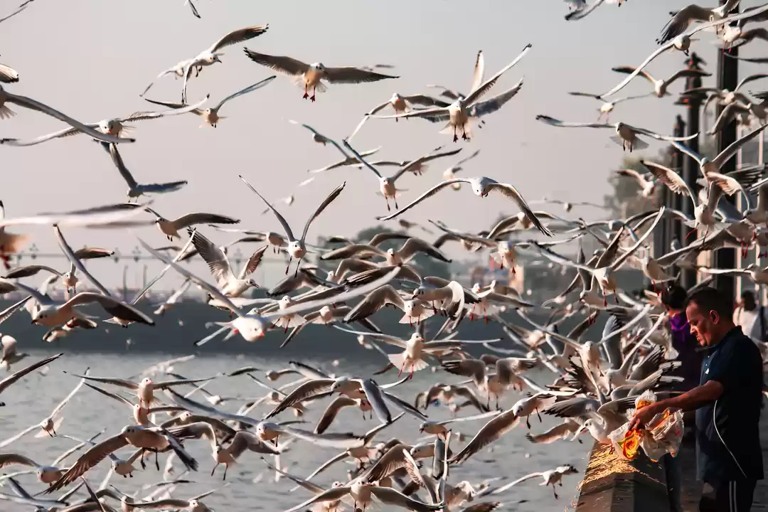 Photo of Winter's almost gone