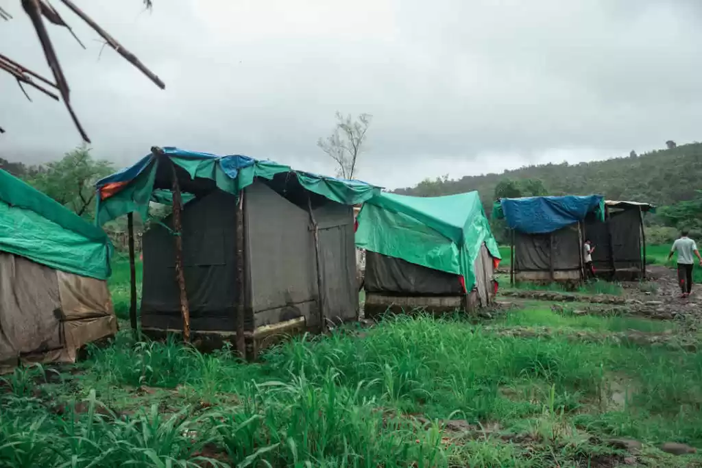 Photo of Here's How I Discove