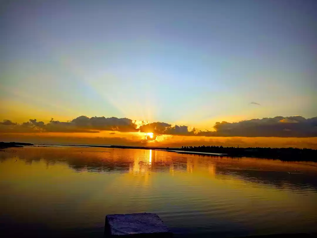 Photo of Falling in love with