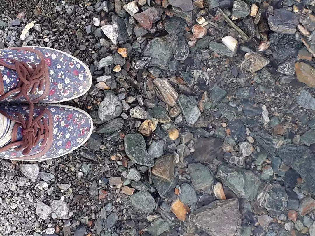 Photo of Cant go outside? Go 