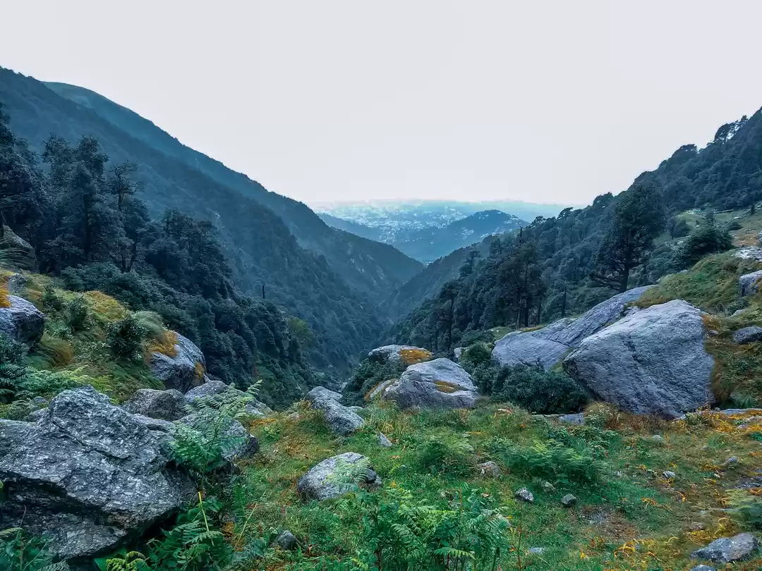 Photo of Taming Triund-Snowli