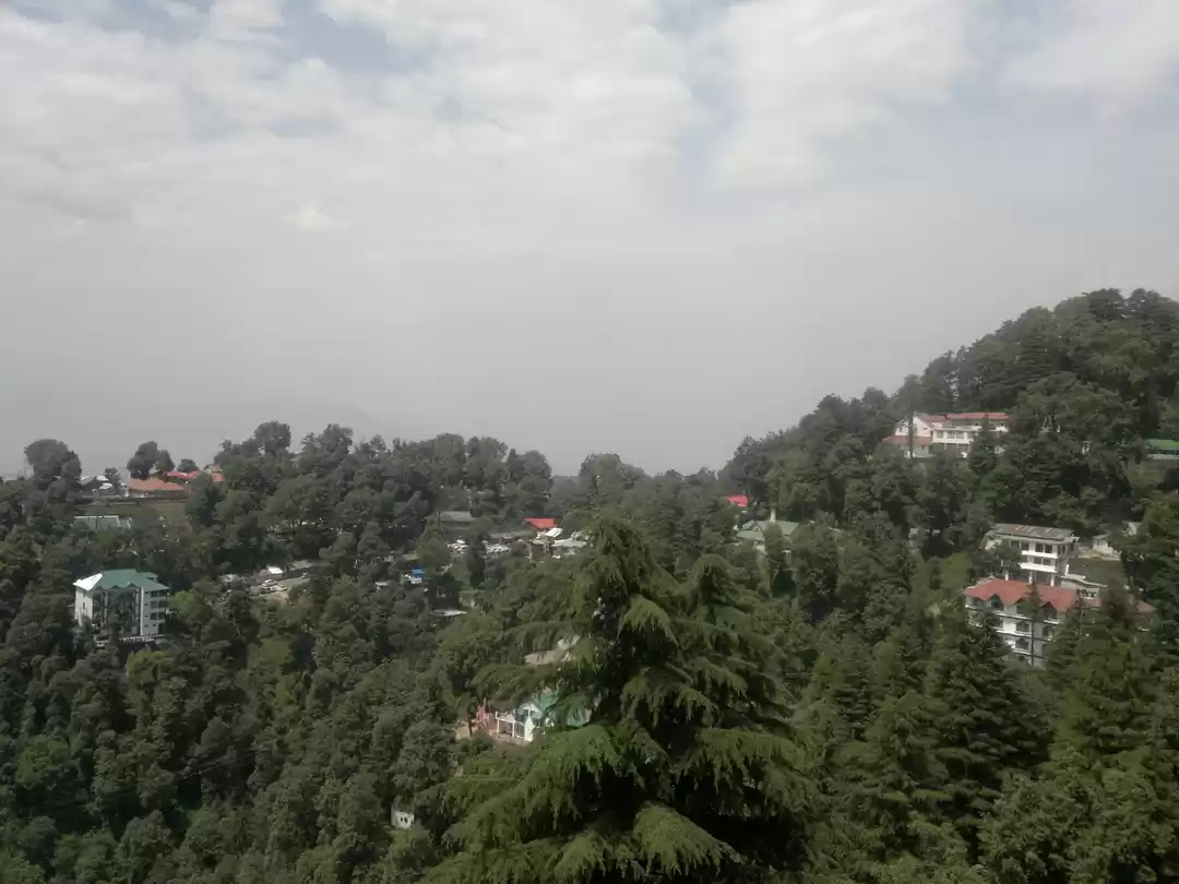 Photo of The Perfect Combo : 