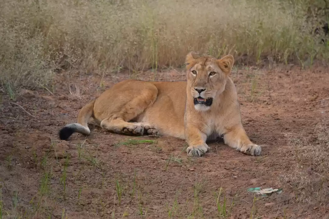 Photo of For the love of God