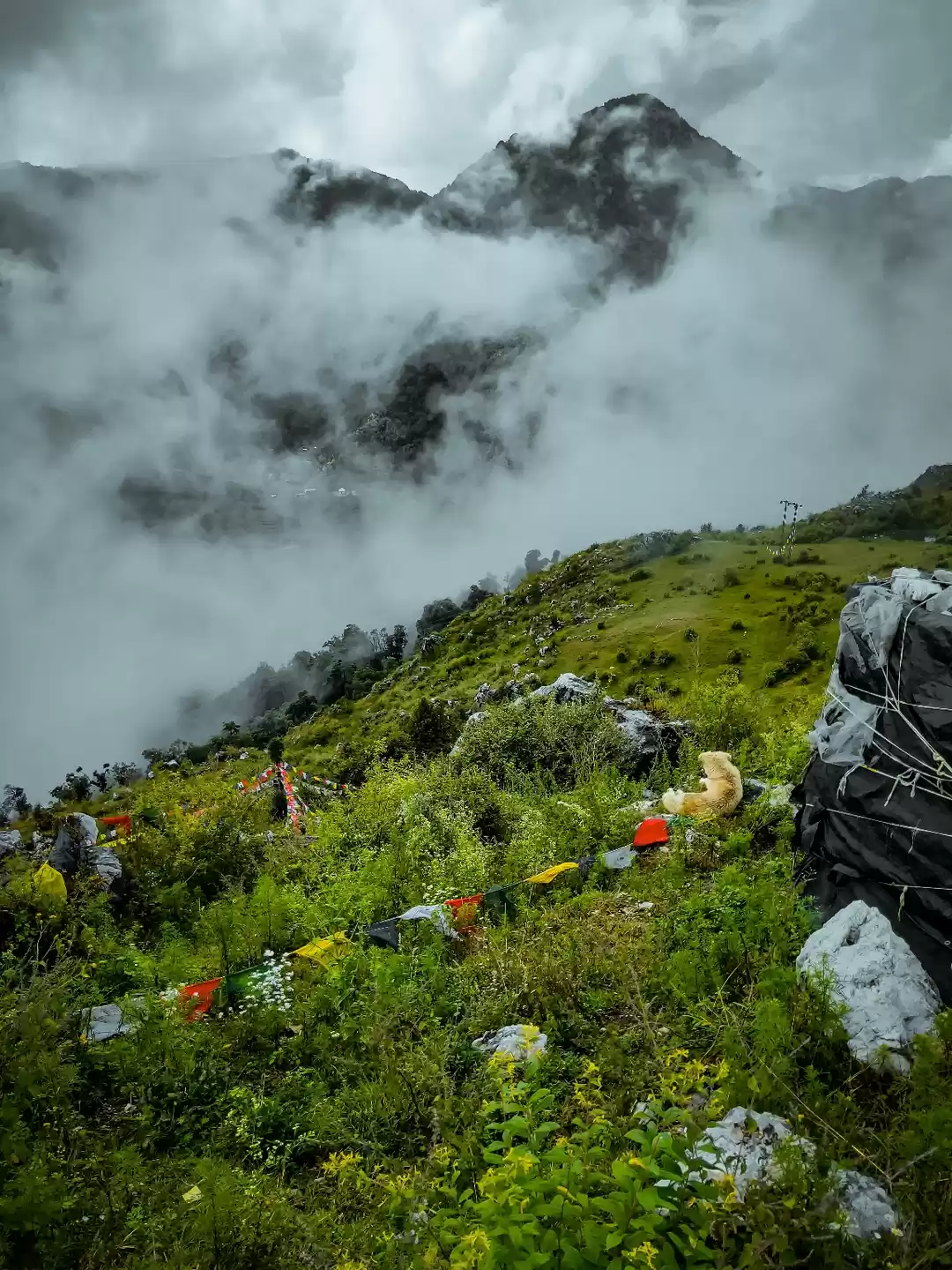 Photo of Places to visit in u