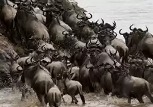 Photo of Experience the Great