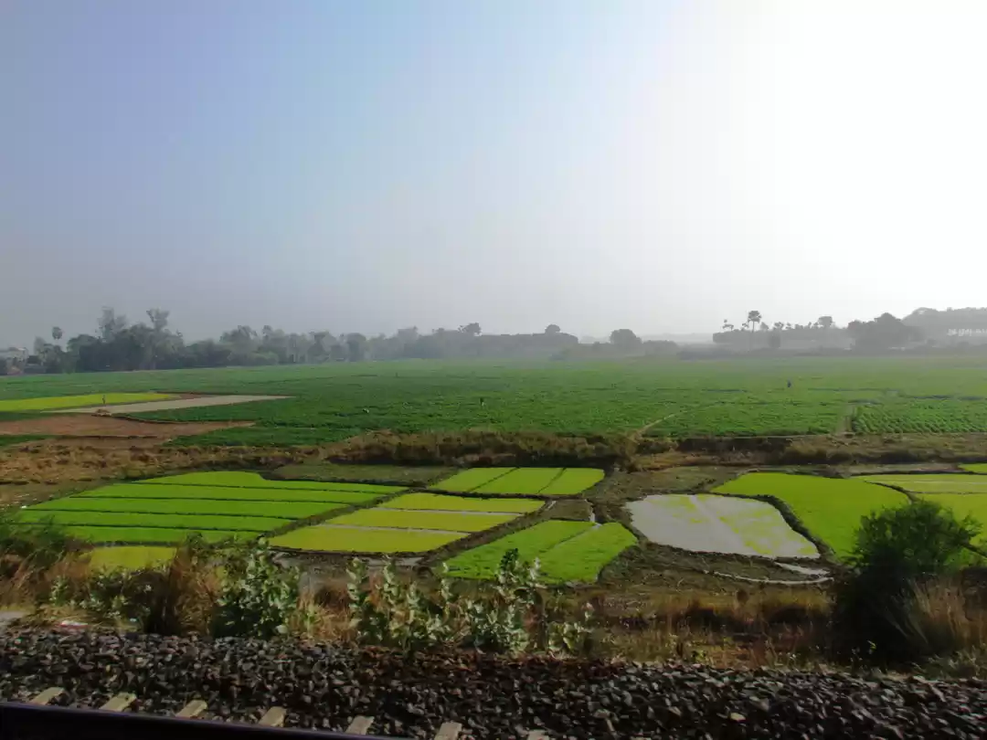 Photo of A visit to a Saturda