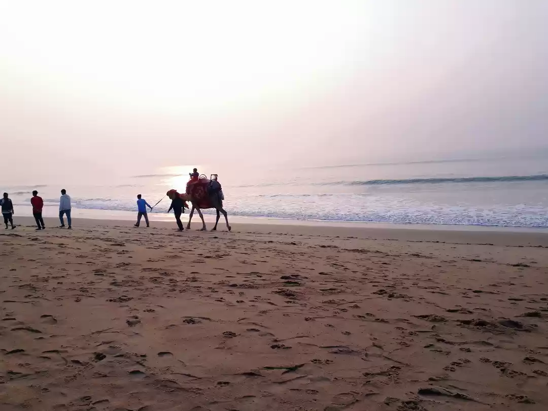 Photo of PURI---A CULTURAL DE