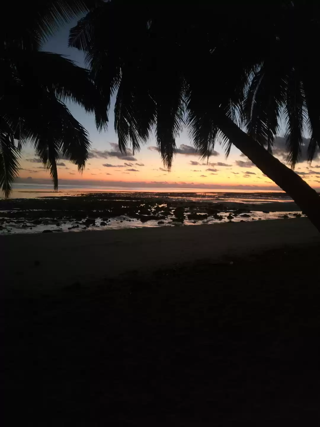 Photo of Amazing Andaman in 7