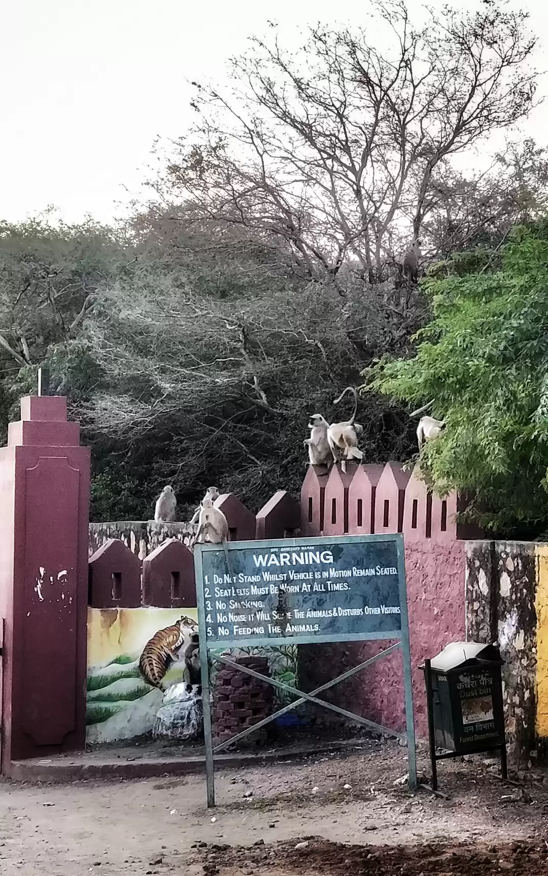 Photo of Ranthambore National