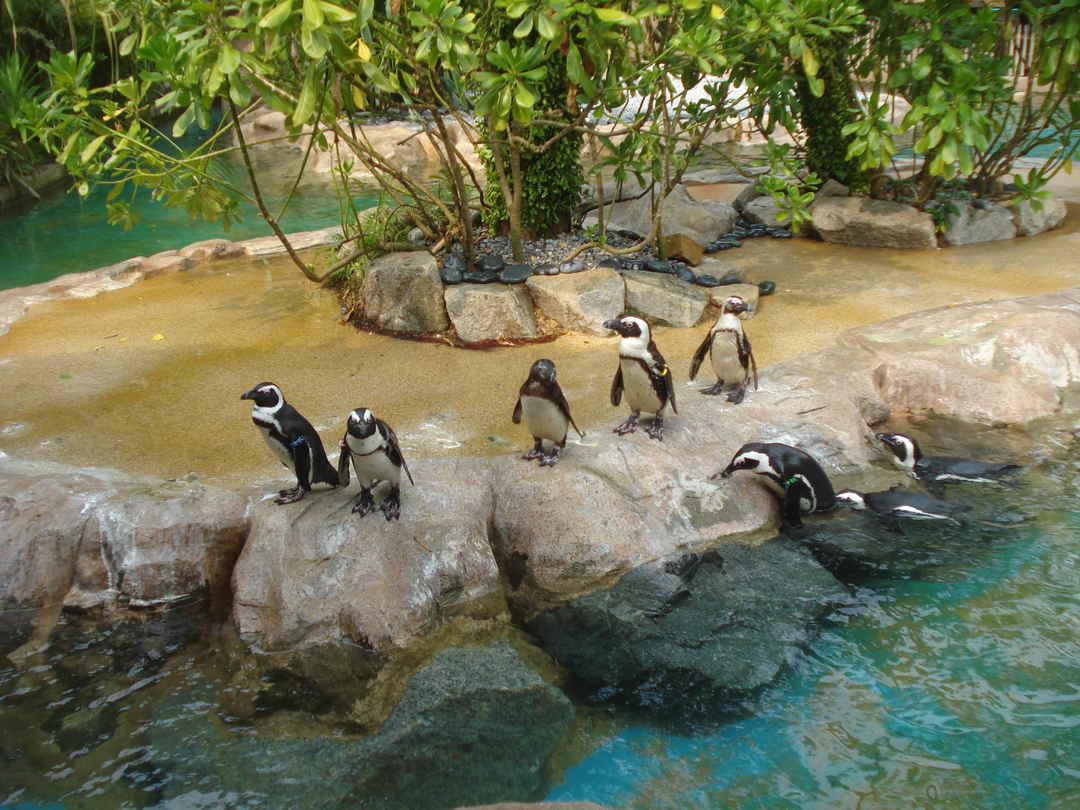 Singapore Sojourn - Tripoto