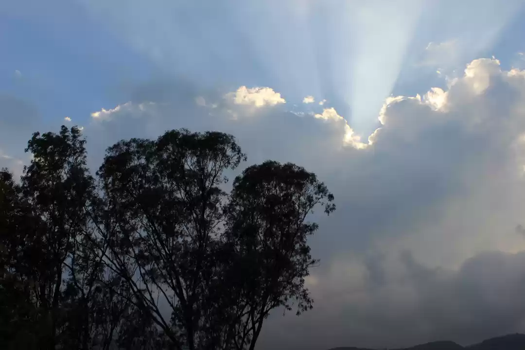 Photo of Chilling, Clicking, 