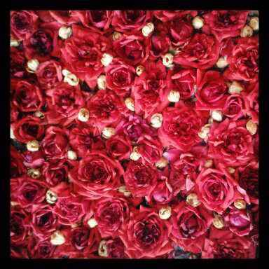 Photo of Exploring south India on 2 wheels!