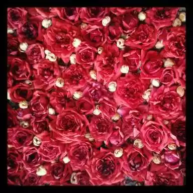 Photo of Exploring south Indi