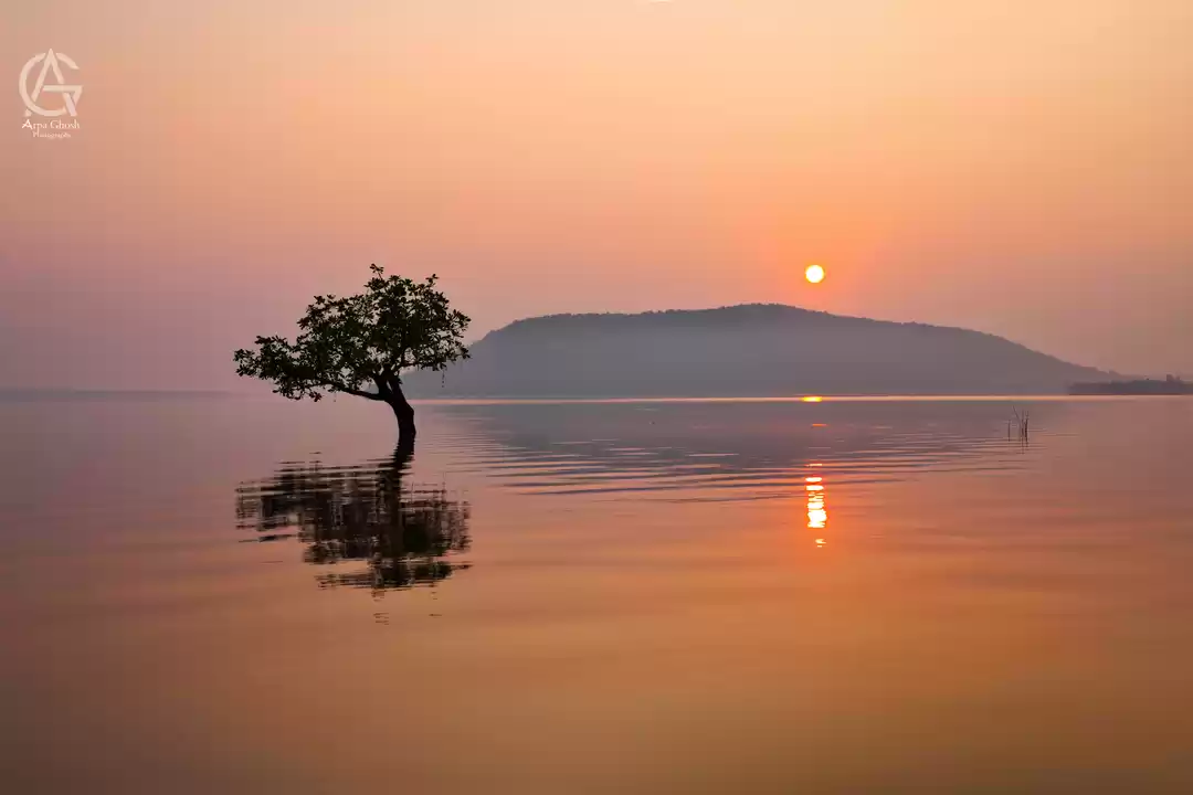 Photo of Pakhal Lake ~ A Quai