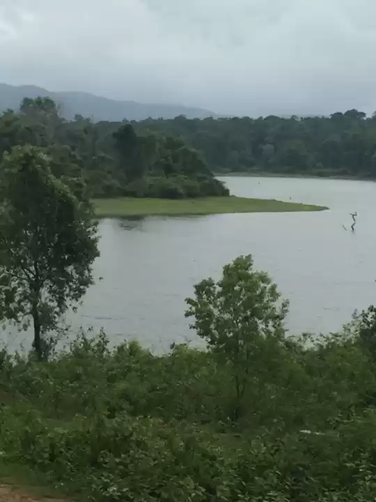 Photo of Coorg : Peace Unexpl