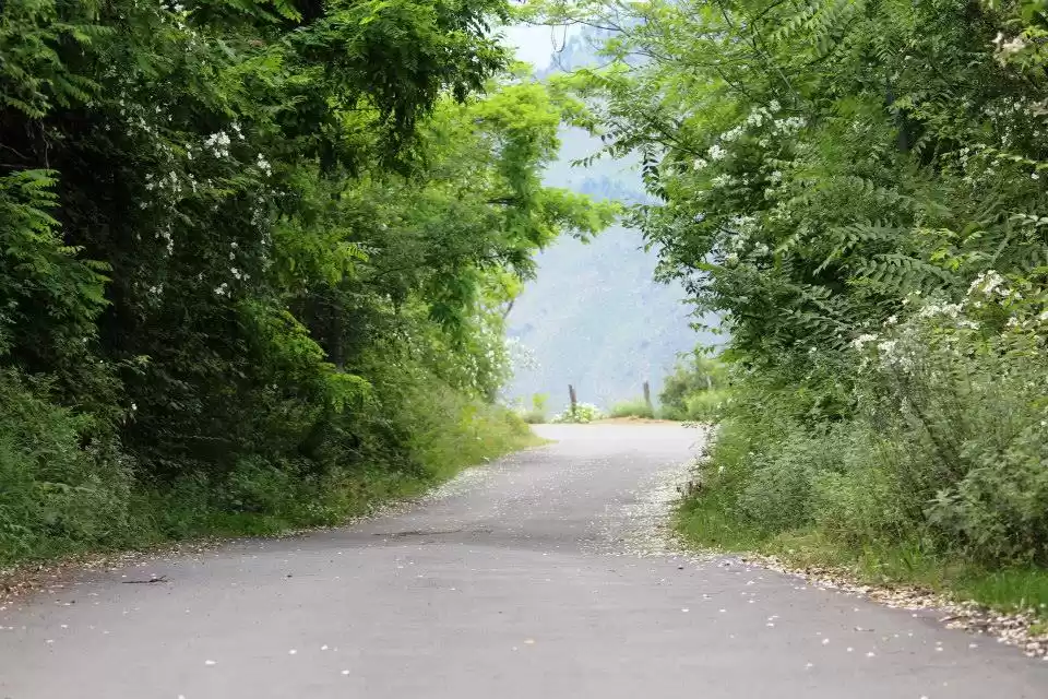 Photo of Bandipora (paradise 