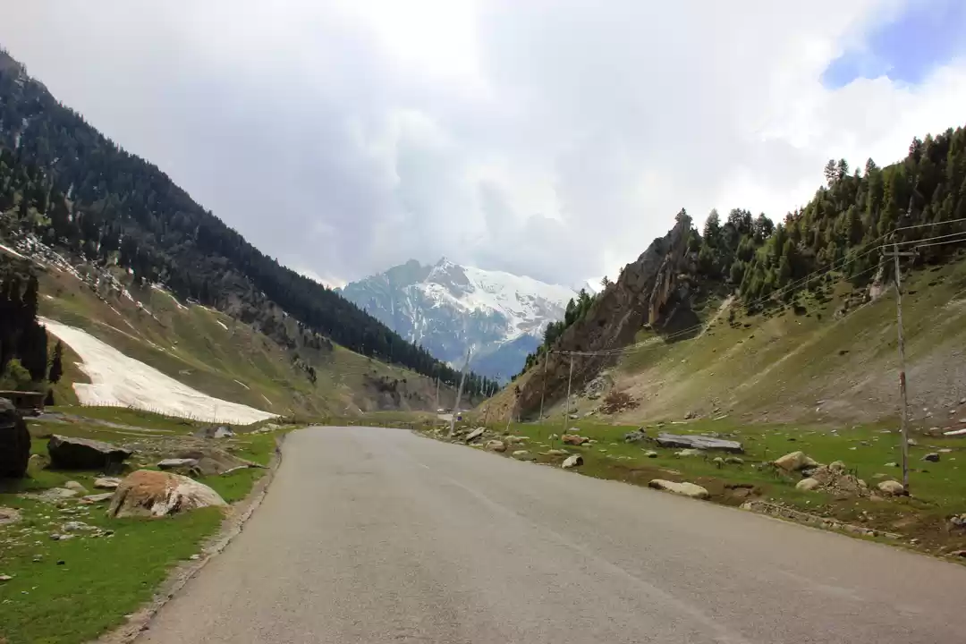 Photo of Scintillating Sonmar