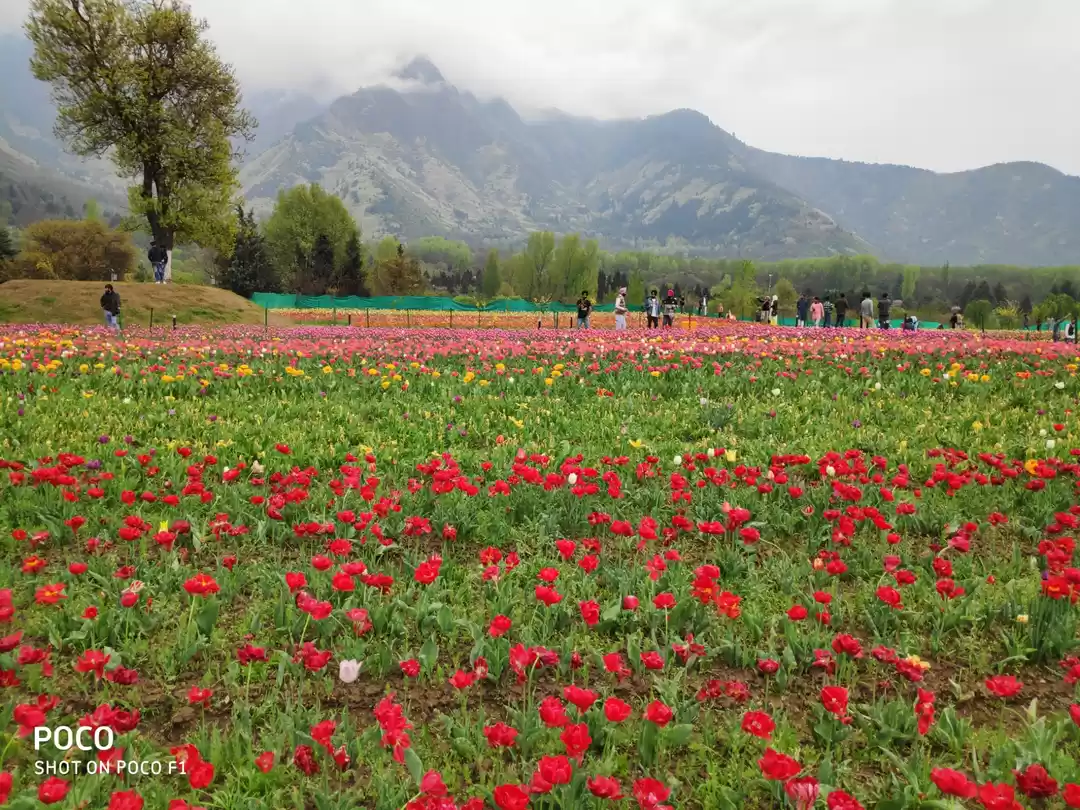 Photo of A day spent in the A