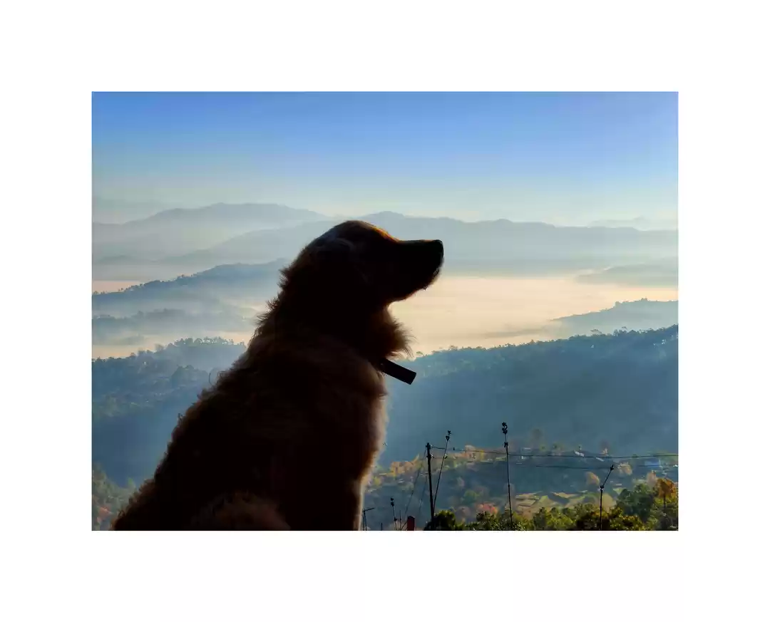 Photo of #TravelThrowback to 