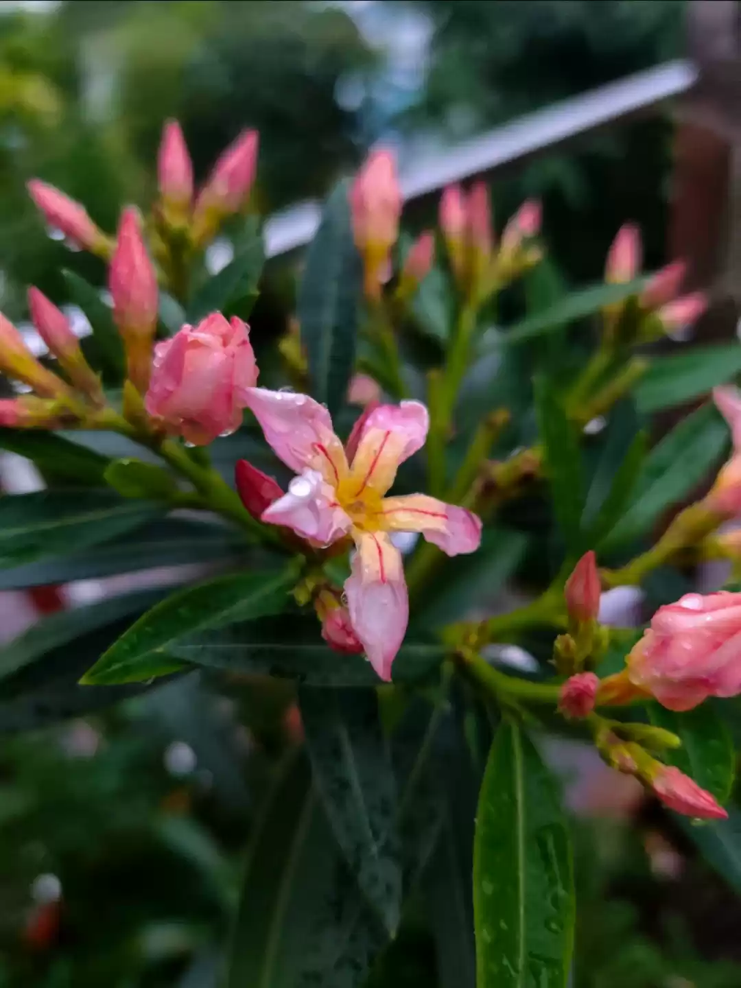 Photo of My Favourite Corner: