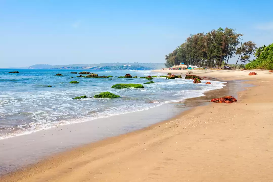 Photo of Why Go to Goa When Y
